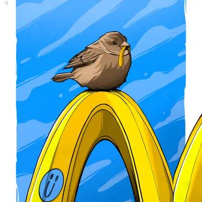 DAY 003
