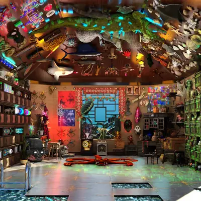 WUNDERKAMMER 🐊