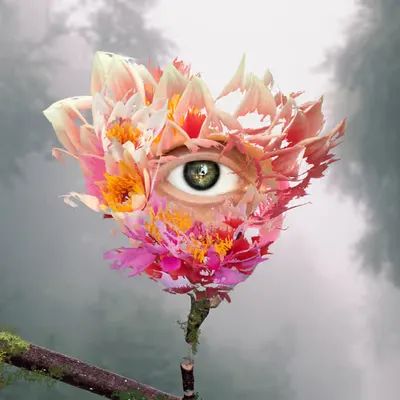 Hope