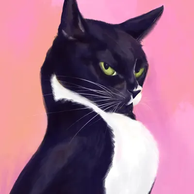 Vasya, The Cat