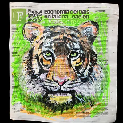 Year of the Tiger
