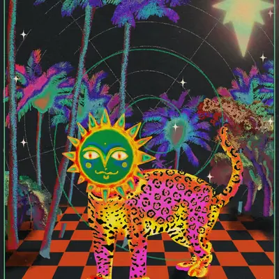 Magic Cat