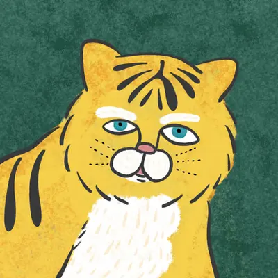 tora-chan