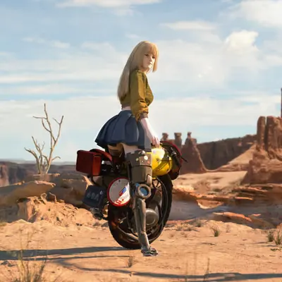 The Traveler