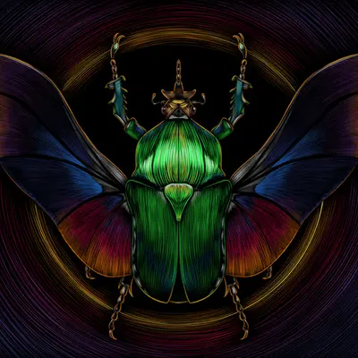 The Scarab