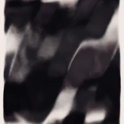 #111