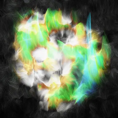 #43