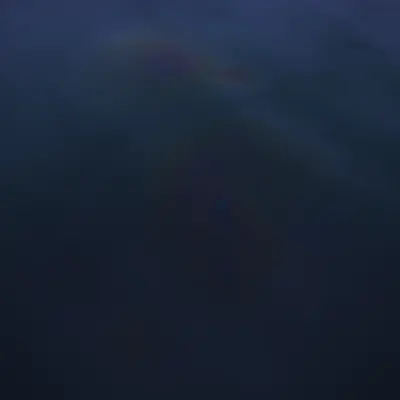 #133