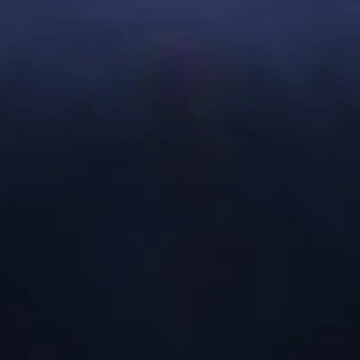 #135