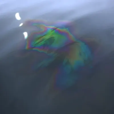 #161