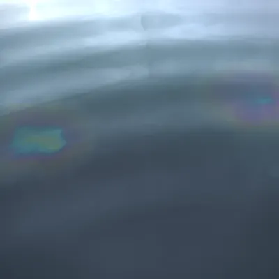 #66