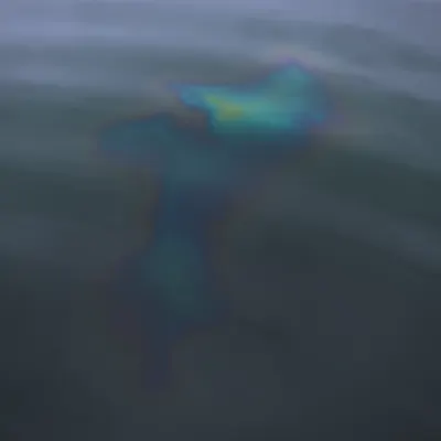 #68