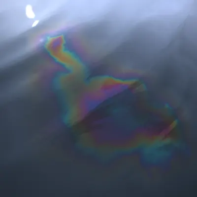 #79