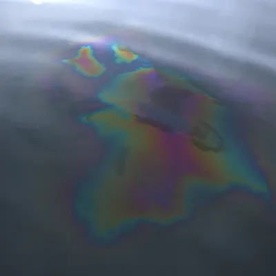 #81