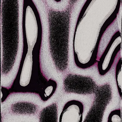 #2000026