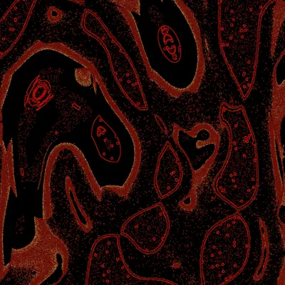 #2000039