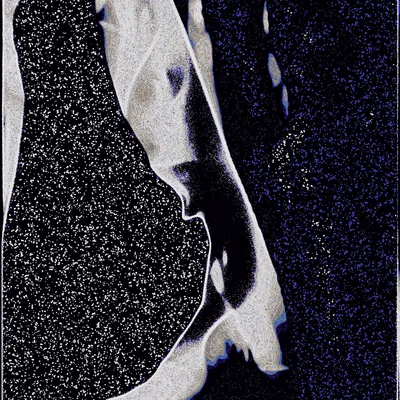 #2000047
