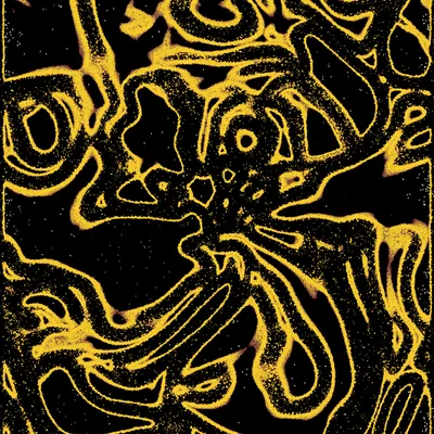 #2000052