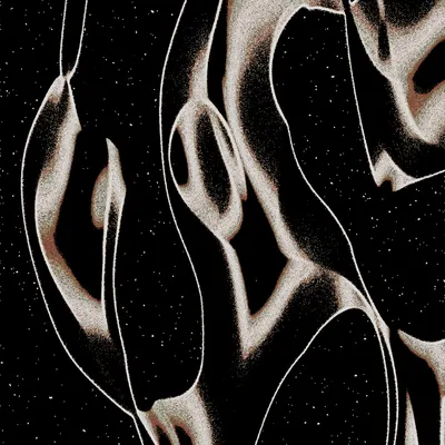 #2000053