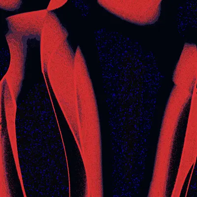 #2000065