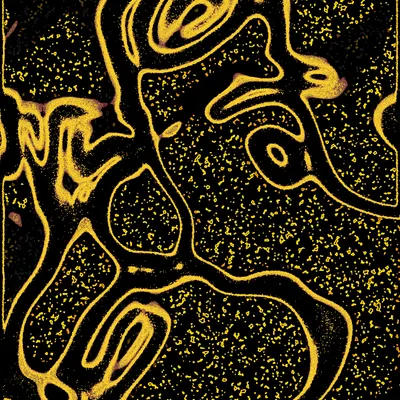 #2000129