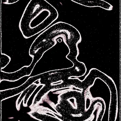 #2000197