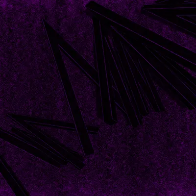 #1000033