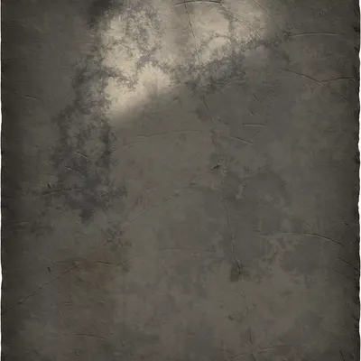 #117