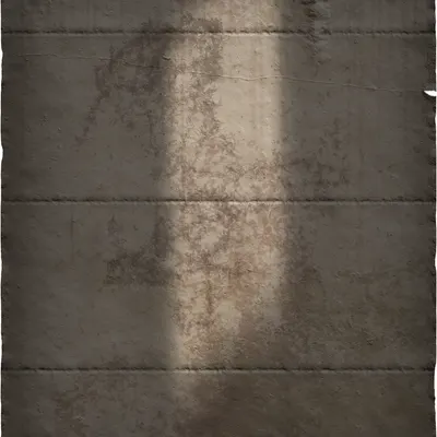 #118