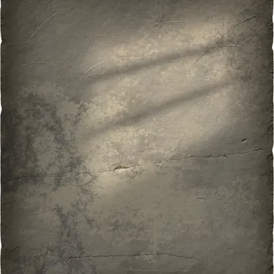#151