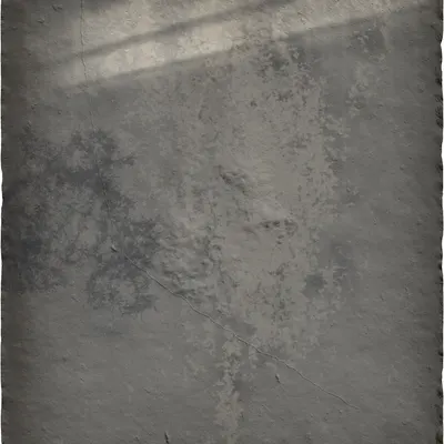 #154
