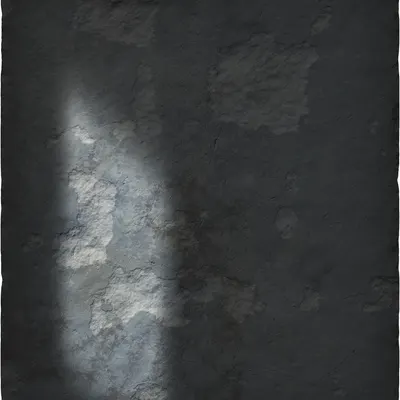 #29