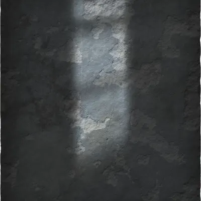 #79