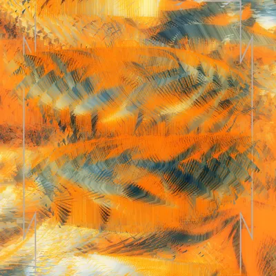 #81