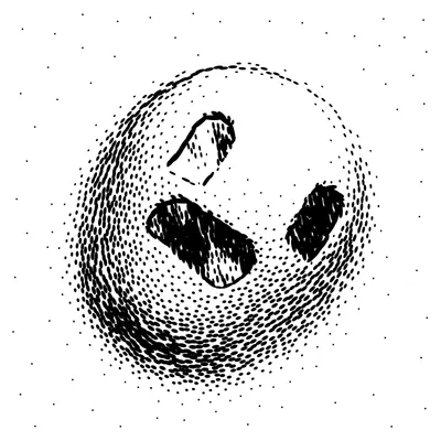 #41