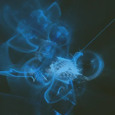 #33