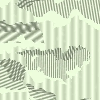 #251