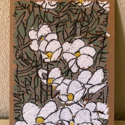 Tree Poppies revisited