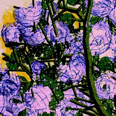 A Close Look at a Rose Bush
