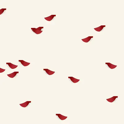birds, unexpected 