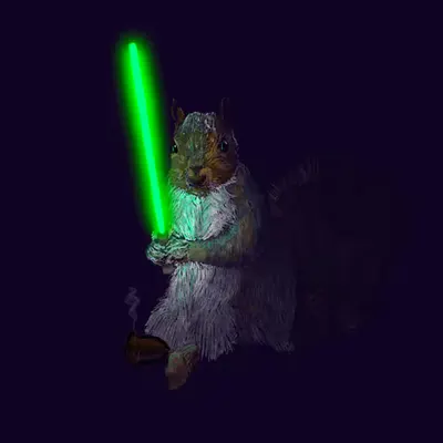 Squirrel