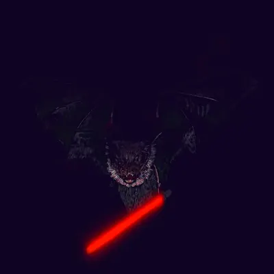 Bat
