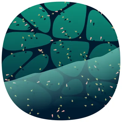 #107000200