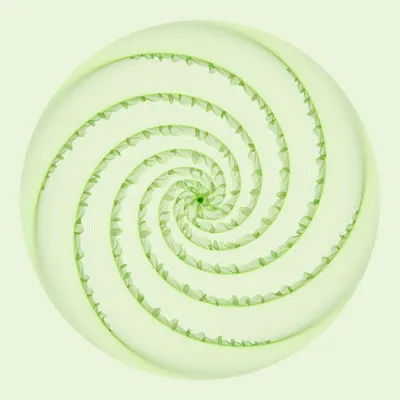 #157000056