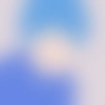 #170000017