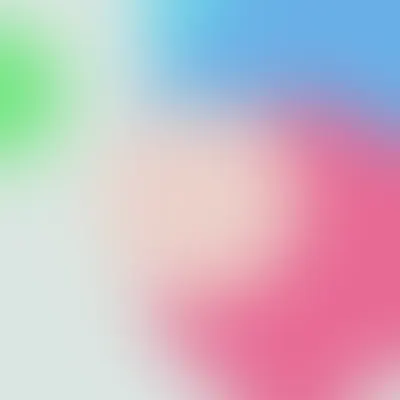 #170000026