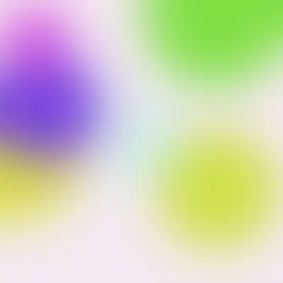 #170000065