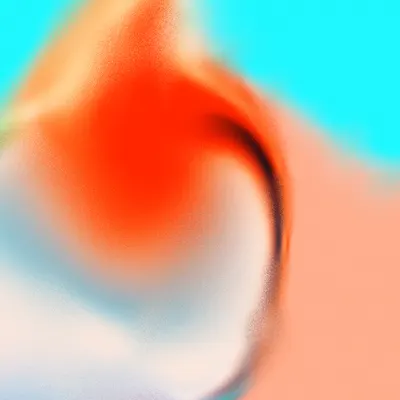#200000055