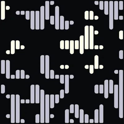 #20000024