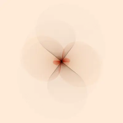 #210000041